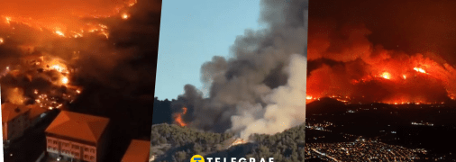 У Туреччині розгорілися масштабні пожежі