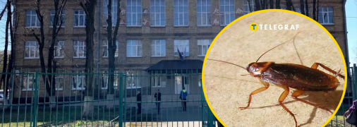 Тараканы в учебном заведении столицы