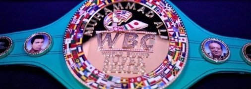 В Україні офіційно визнали WBC