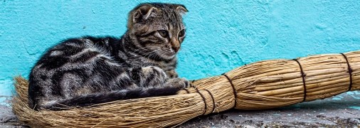 Веник – оберег в доме