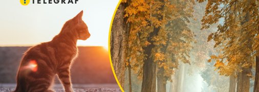 Посеред осені очікується потепління