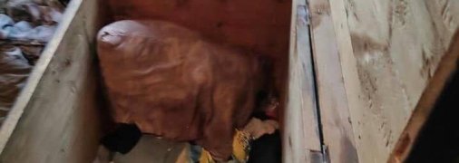 Дети задохнулись в сундуке