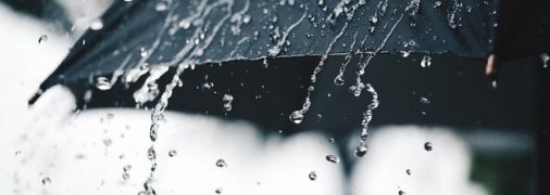 Вторая декада июля будет богатой на осадки