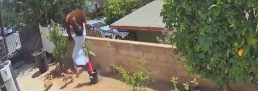 Девушка, ввязавшаяся в схватку с медведицей в США, удивила признанием (видео) 