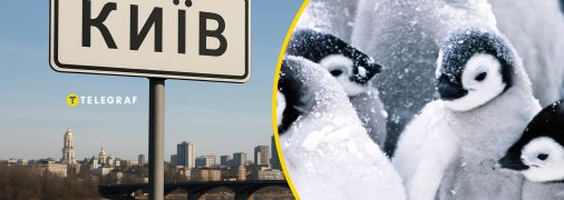 Колаж "Телеграф"