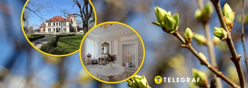 Подгорецкий дворец, весна