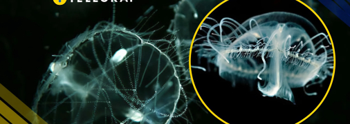 Ілюстративне фото