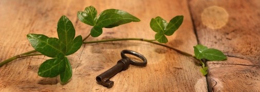 Чем опасен в доме плющ