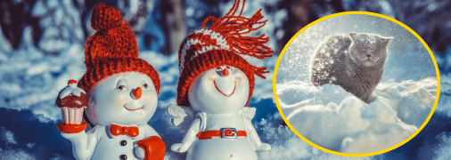 Зима в Украине