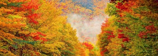 Осінь продовжується