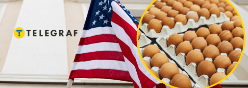 Дефицит яиц в США