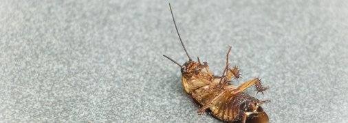 Никакая химия не нужна