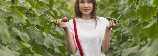 Хороший день для посадки огірків стане запорукою гарного врожаю