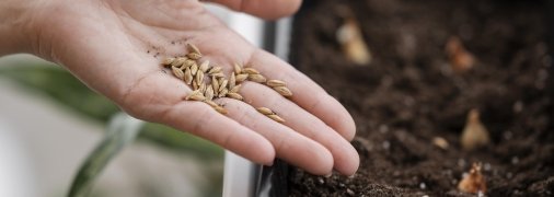 Є кілька важливих моментів