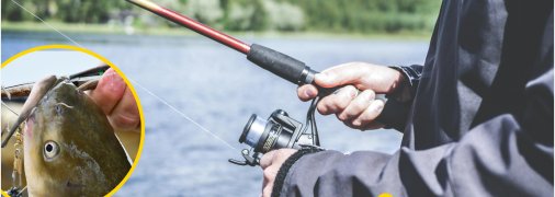 Рівненський рибалка впіймав велетня