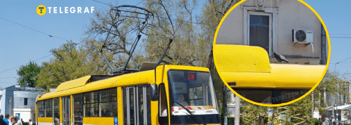 Голуб вигадав простіший спосіб пересування, ніж летіти