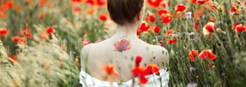 Макове поле