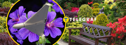 Квітник, герань, дрон