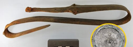 Меч нашли в болотах Дании