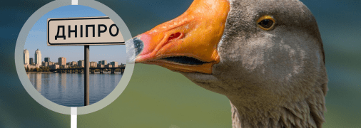 Гусак був переляканий