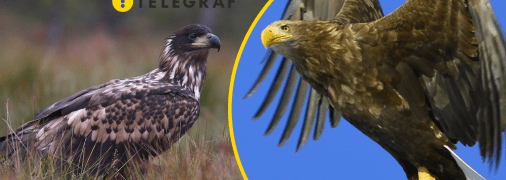 Ілюстративне фото