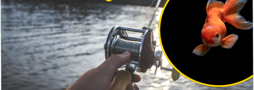 Рыбалка в Сумской области