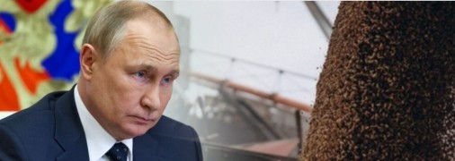 рф решила изменить свою позицию