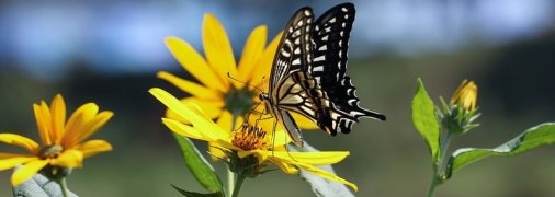 Какие завтра праздники: традиции и приметы на 30 июня