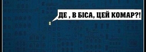 Женщины в бикини особенно нравятся мужчинам и комарам: веселые летние анекдоты