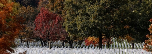 Мемориальный комплекс планируют разместить в Быковнянском лесу