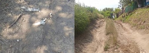 Ливни размыли старое кладбище на Одесчине: посреди дороги вылезли человеческие кости (фото)