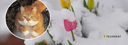 Похолодання навесні