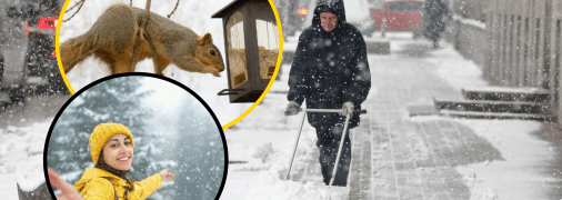 Погода в Україні