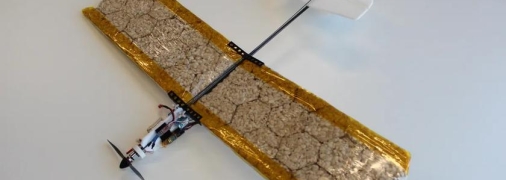 Перший їстівний дрон