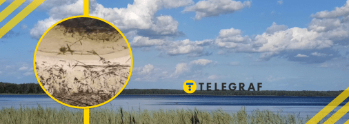 Сухий берег на Білому озері