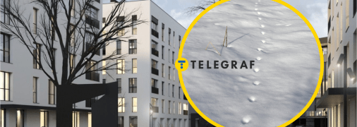 ЖК "Квадрат" в Ужгороде, следы лисы