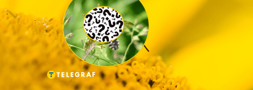 Какое существо впервые увидели в Тернопольской области