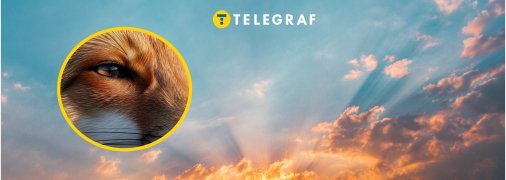 Під сонцем на Одещині грілася хижачка