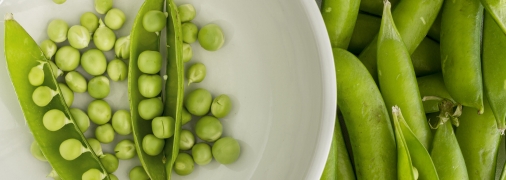 Зелений горошок — як садити і коли, щоб отримати чудовий урожай