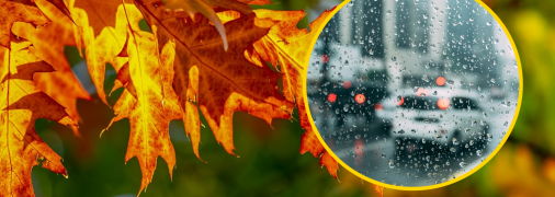 Осенние дожди