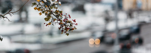 Прогноз погоды в Киеве на февраль 2024