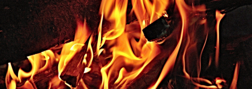 Какие дрова лучше купить для отопления