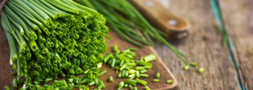 Способы нарезки зеленого лука