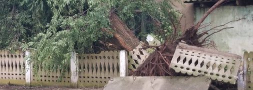 "Думала, землетрясение начинается": под Одессой ураган срывал крыши школ и предприятий (фото)