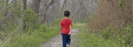 Шестирічна дитина загубилася під час підйому на Говерлу: пошуки не дають результатів