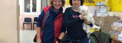 Допомогти хворим на ковід і не втратити нирки: як українські волонтери рятують життя, по крихтах збираючи гроші на кисень