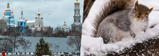 Погода у Харкові