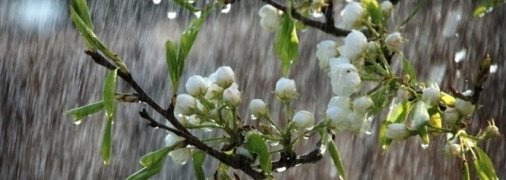 Весінній дощ