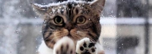 Дождь, снег и мороз: какой будет погода на выходных в Украине