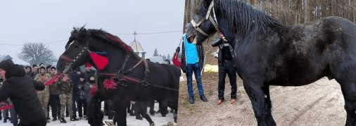 Фестивал на Прикарпатті викликав обурення в соцмережах